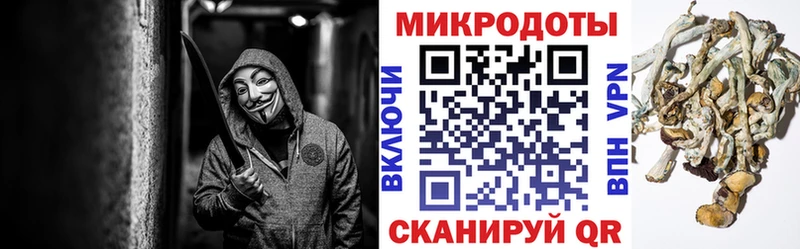 Галлюциногенные грибы мицелий  Купить  Кумертау 